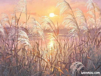 戒掉嫉妒心的9个实用方法，把羡慕变成自我成长的动力